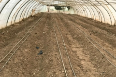 4de59e56-c9e7-4078-a718-b24c93ba9fb5