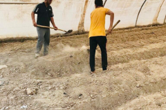 d3fd78b4-c2a8-499f-a781-433e8202505e