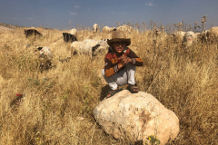 5EEBC6F8-E808-42B7-B2AE-C9DD4A98A5A5